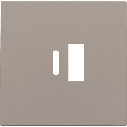 Накладка USB Type-A-C, бронза