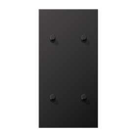 JUNG LS1912 Dark Центральная плата, 2 поста, для вертикальной установки, тумблеры 2+2,цилиндр; метал. исполнение