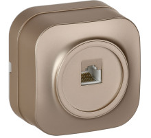 IEK GLORY Роз. комп. RJ45 кат.5E о/у РК10-ХШм шамп. м.