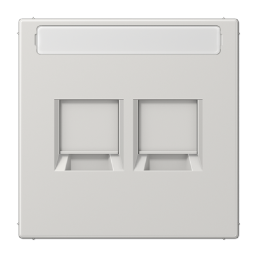 Плата (фиксация защёлкиванием) для двух модулей с полем для надписи, термопласт, светло-серый