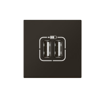 Legrand Mosaiс Розетка USB А+А для зарядки двойная - Программа Mosaic - 2 модуля - матовая черная.