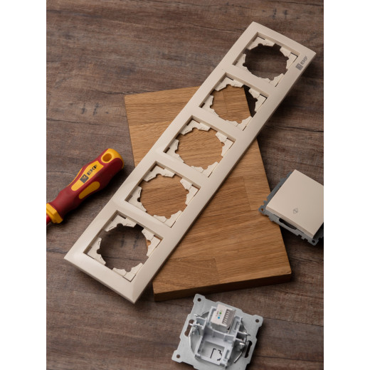 Валенсия рамка 5-местная кремовая EKF PROxima