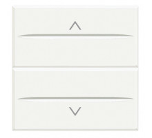 BT Axolute White Axial Выключатель жалюзийный кнопочный 10А, 2 мод.
