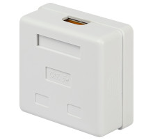 ЭРА Розетка компьютерная RJ-45 RJ02UN категория 5е неэкранированная 2-порта упаковка 30 шт