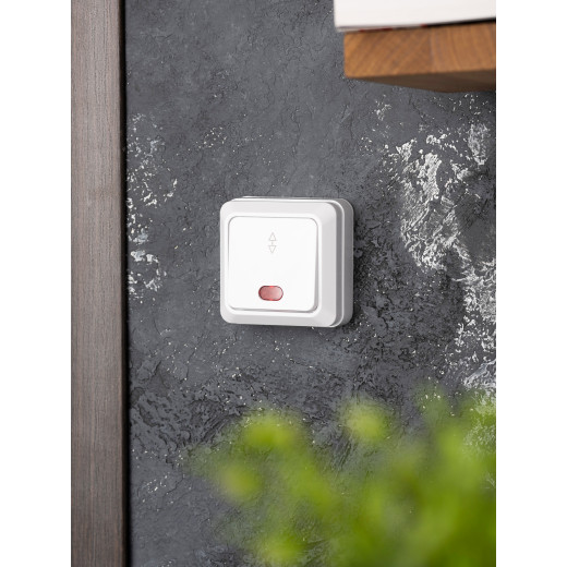 Рим Выключатель проходной 1-клавишный с индикатором 10А белый EKF