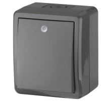 ЭРА Выключатель Эксперт 11-1402-03 с подсветкой IP54 10АХ-250В ОУ серый