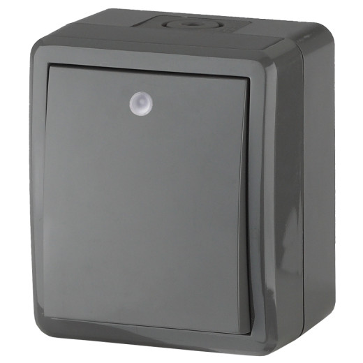 Выключатель ЭРА Эксперт 11-1402-03 с подсветкой IP54 10АХ-250В ОУ серый