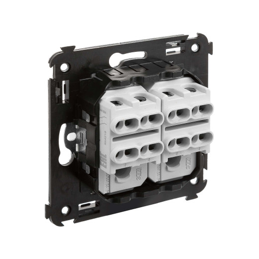 Инвертор двухклавишный в стену, Avanti, белое облако