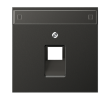 JUNG LS 990 Антрацит Накладка 1-ой наклонной ТЛФ/комп розетки с полем для надписи