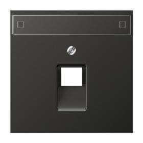JUNG LS 990 Антрацит Накладка 1-ой наклонной ТЛФ/комп розетки с полем для надписи