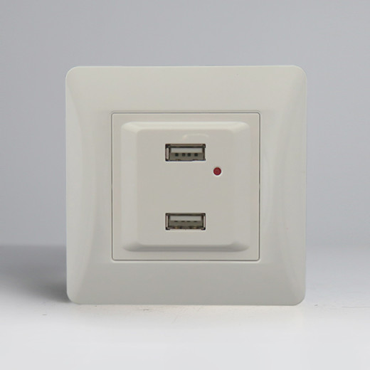 Розетка 2xUSB A, 125-250V (белый)