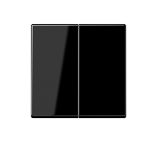 JUNG Центральная плата 2 группы стандарт термопласт черный