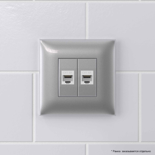 Компьютерная розетка RJ-45 без шторки в стену, кат.6А двойная, Avanti, закаленная сталь