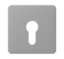 JUNG центральная плата для вставки с ключом, серый