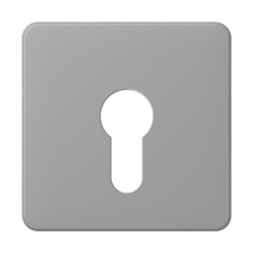 JUNG центральная плата для вставки с ключом, серый