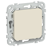 FLITE Заглушка с суппортом ЗГ-ФлСл сл IEK