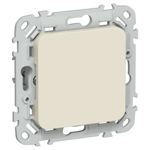 FLITE Заглушка с суппортом ЗГ-ФлСл сл IEK