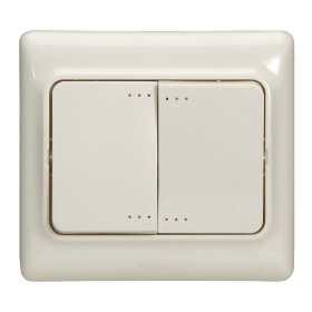 Legrand Kaptika Бежевый Выключатель 2-клавишный с/п.