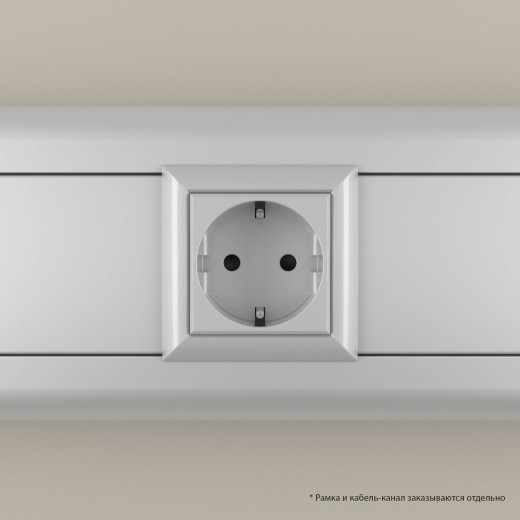 Розетка модульная, 2P+E, с з/ш, Avanti, закаленная сталь, 2 модуля
