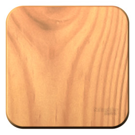 Systeme Electric Blanca наруж Ясень Выключатель 1-клавишный с самовозвратом, 10А, 250В, изолир. пластина