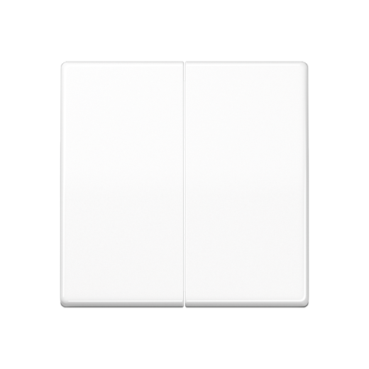 Двойная клавиша для балансирных механизмов выключателей (кнопок), в комплекте с AS90-5HP (крепежный элемент), возможно IP44, дюропласт, белый, AS500