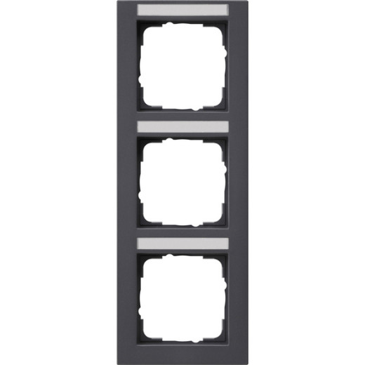 Рамка 3-я вертикальная с полем для надписи
