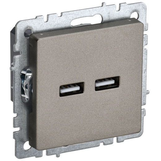 BRITE Роз. USB A+A 3,1А РЮ10-1-БрШ шамп. IEK