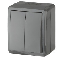 ЭРА Выключатель Эксперт 11-1404-03 двойной IP54 10АХ-250В ОУ серый