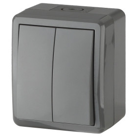 ЭРА Выключатель Эксперт 11-1404-03 двойной IP54 10АХ-250В ОУ серый