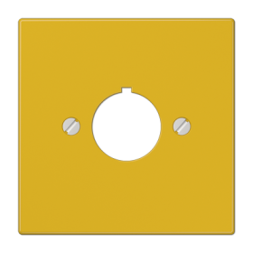 JUNG Крышка для установки специальных изделий Ø22,5 мм с несущим каркасом желтая