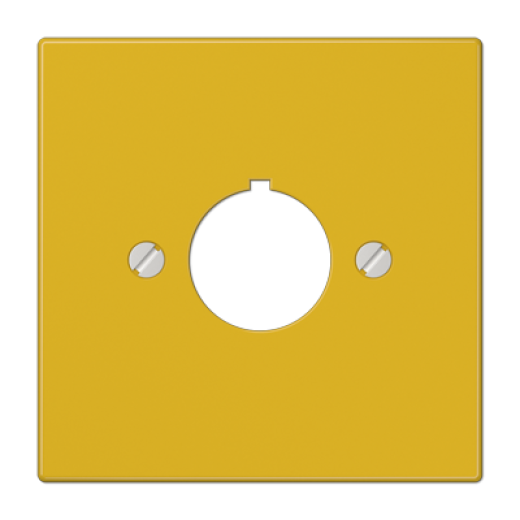 Крышка для установки специальных изделий Ø22,5 мм с несущим каркасом, желтая