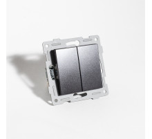 Переключатель двухклавишный, 10А, 220-250V (антрацит)