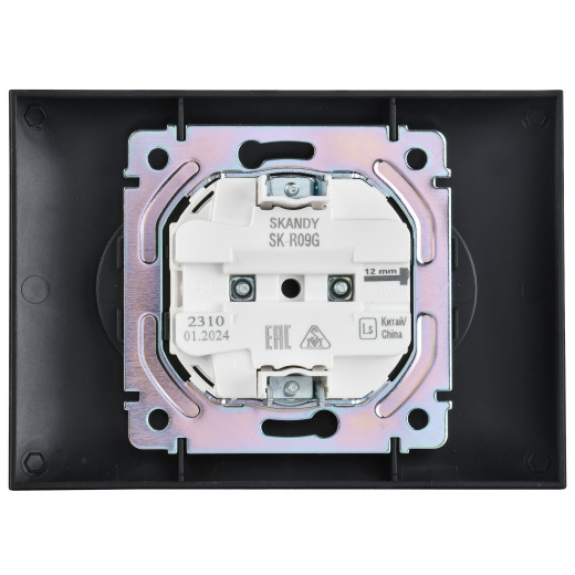 SKANDY Роз. 2-я без з/к с з/ш 10А сб. SK-R09G граф. IEK