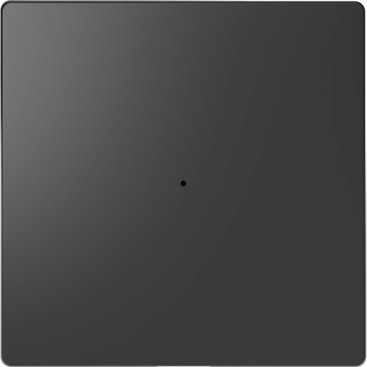 MERTEN D-Life PlusLink КЛАВИША 1-ная без симв-в, АНТРАЦИТ, SD