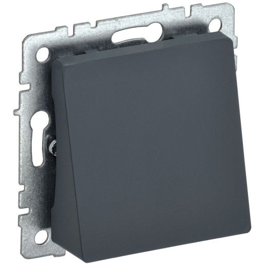 BRITE Вывод кабеля МВ10-БрГ граф. IEK