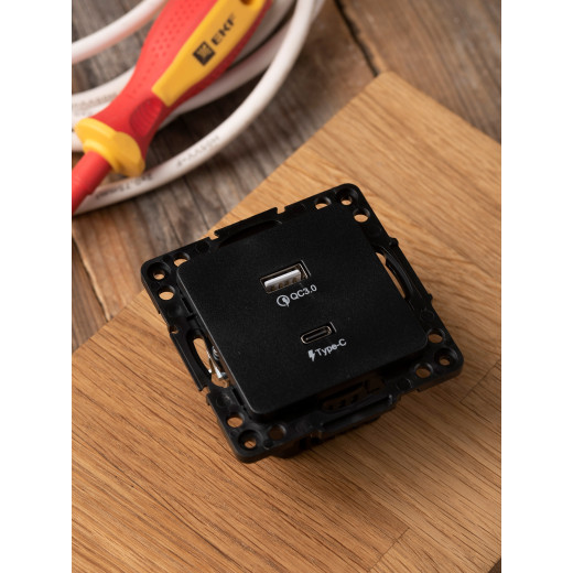 Стокгольм Механизм Розетки с 2USB type-A + type-C черный EKF PROxima
