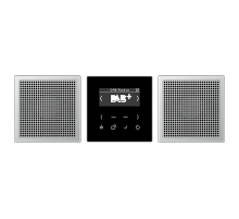 JUNG Смарт радио DAB+, стерео черный/алюминий