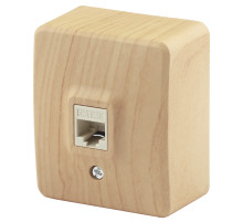 ЭРА Розетка Эксперт 11-3203-11 информационная RJ45 ОУ IP20 сосна
