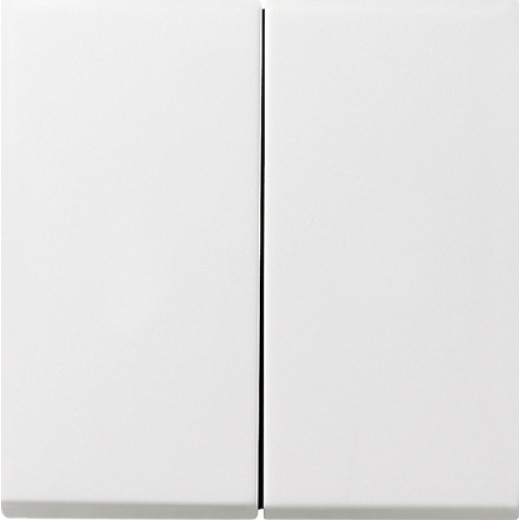 Выключатель с самовозвратом 2 клавишный