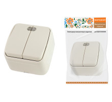 TDM Выключатель 2-кл. открытой установки с подсветкой IP20 10А, сл. кость 