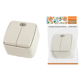 TDM Выключатель 2-кл. открытой установки с подсветкой IP20 10А, сл. кость 