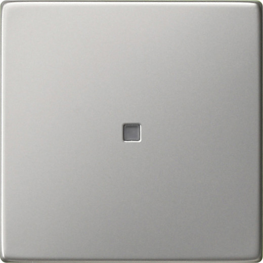 Клавиша с контр. окном Sys55 Сталь