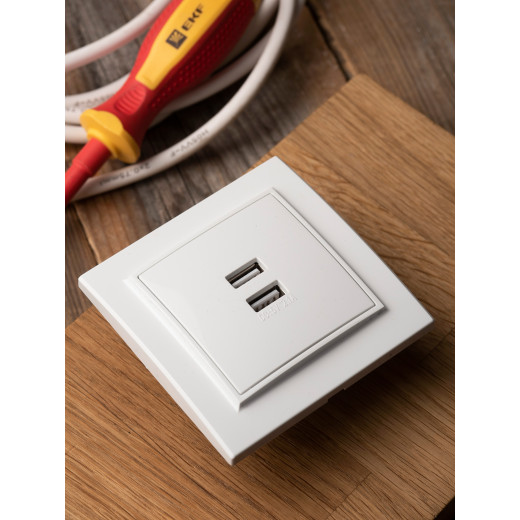 Минск Розетка USB 2-местная СП 2,1А белая EKF