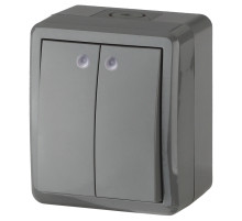 ЭРА Выключатель Эксперт 11-1405-03 двойной с подсветкой IP54 10АХ-250В ОУ серый