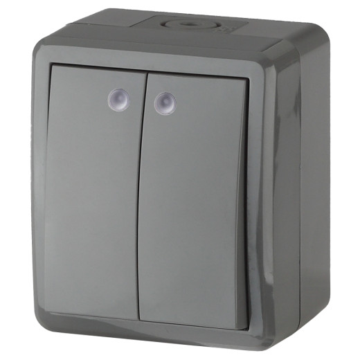 Выключатель ЭРА Эксперт 11-1405-03 двойной с подсветкой IP54 10АХ-250В ОУ серый
