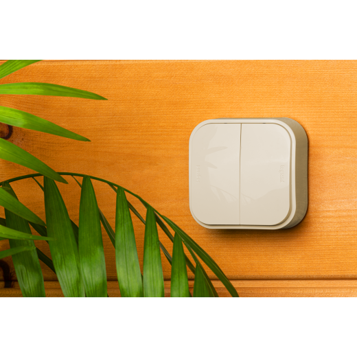 Выключатель двухклавишный - Legrand Quteo - IP20 10А 250В винтовые зажимы накладной монтаж - слоновая кость