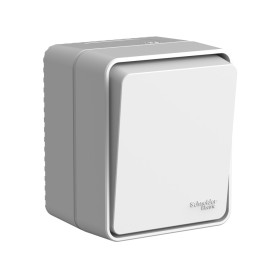 Systeme Electric AtlasDesign Profi54 Наруж Серый Выключатель 1-клавишный с самовозвратом 10 АХ