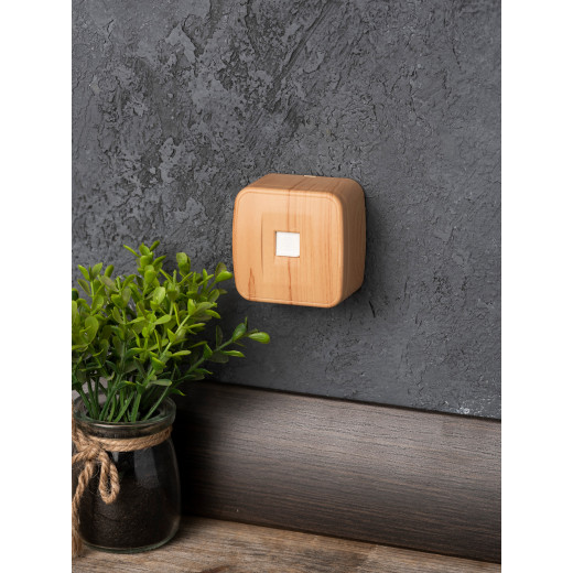 Розетка Phone 1-местная ОП Минск светлое дерево EKF