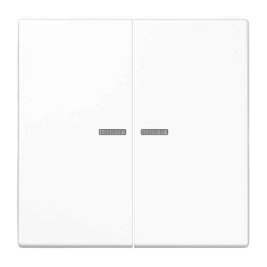 Двойная клавиша с окошками для балансирных механизмов выключателей (кнопок), в комплекте с CD95HP (крепежный элемент), возможно IP44, дюропласт, белый, LS990