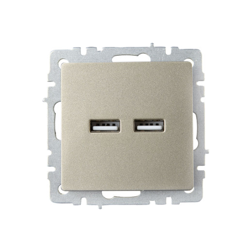 BRITE Роз. USB A+A 3,1А РЮ10-1-БрШ шамп. IEK